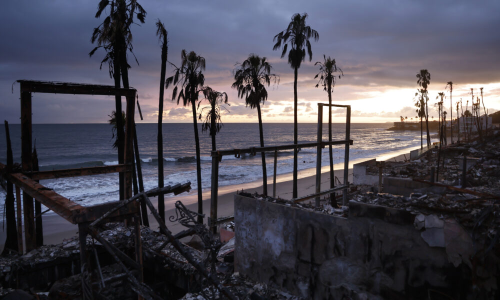 Amid climate crisis, insurers’ increased use of AI raises concern for policyholders